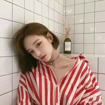 战国名花 在线观看